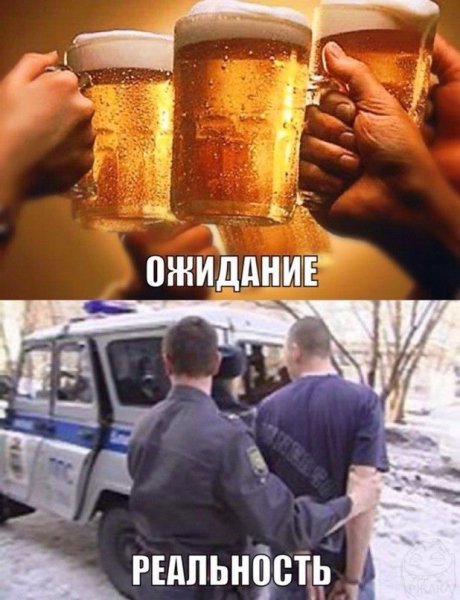 Пивные приколы суббота