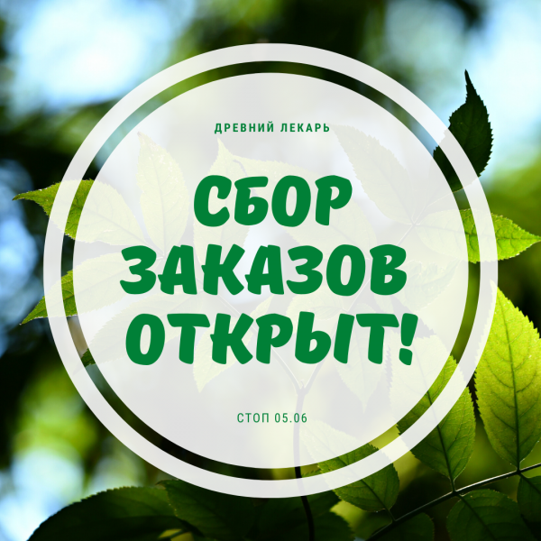 Открыт новый сбор заказов