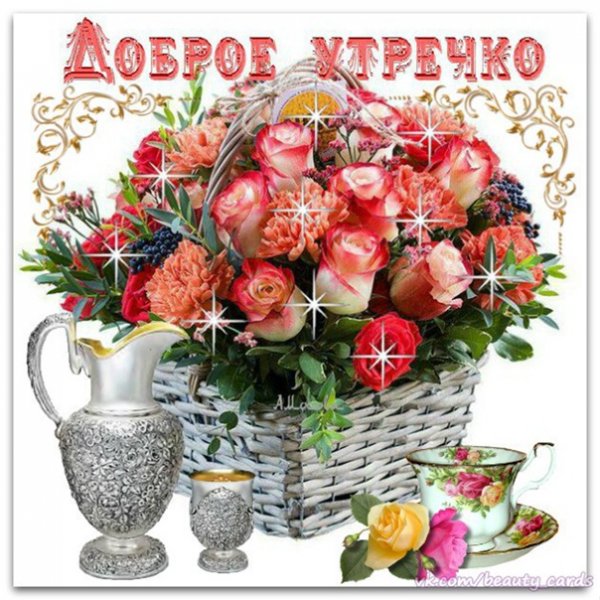 Доброго субботнего утра цветы