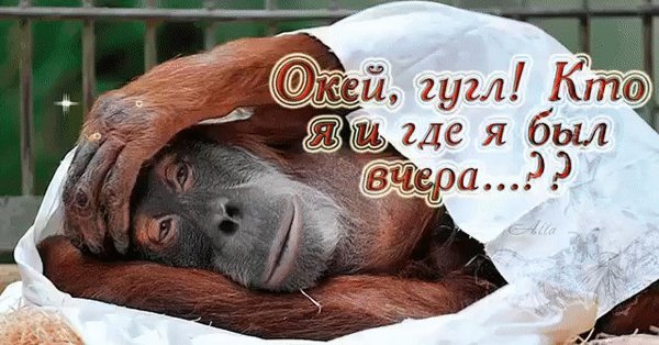 Доброе утро пятница обезьяны
