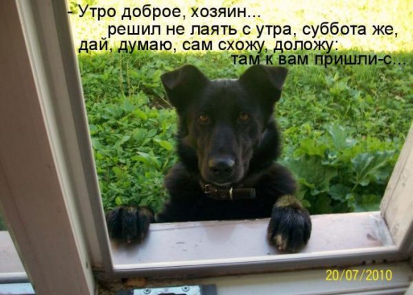 Открытки с субботой прикольные