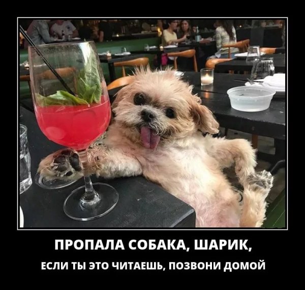 Жизнь удалась прикол
