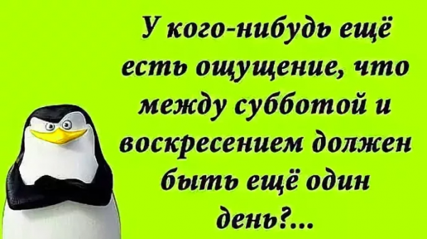 Смешные фразы про выходные