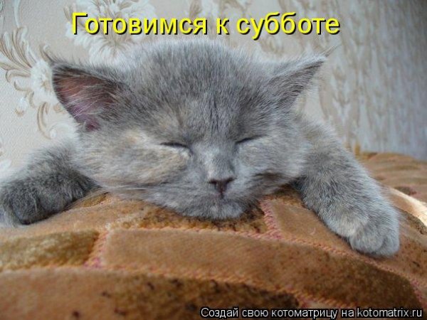 Работать и еще раз работать