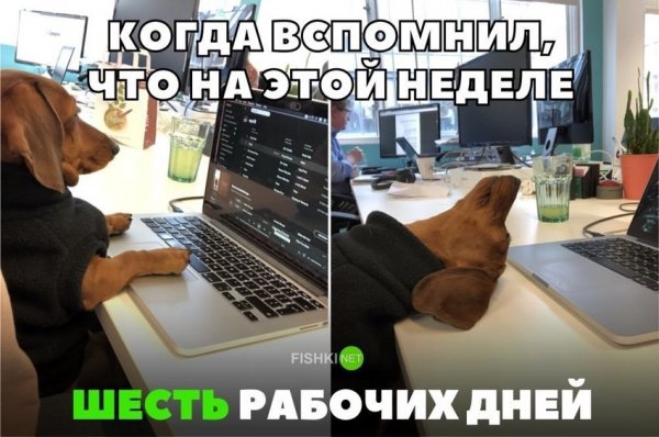 Рабочая суббота