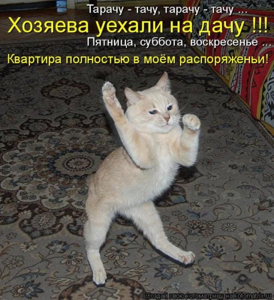 А рам зам зам а рам зам зам Гули Гули