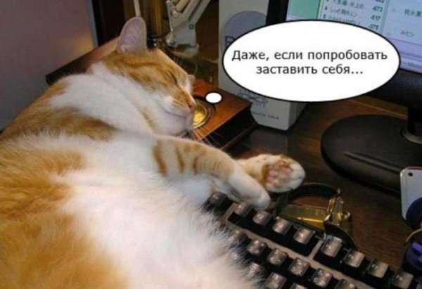Суббота рабочий день