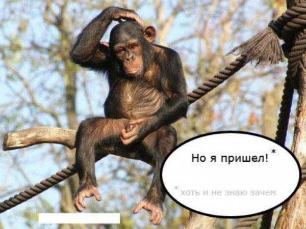 Работа в субботу прикол