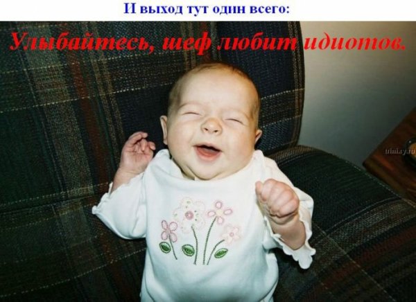 Дети понедельника фото