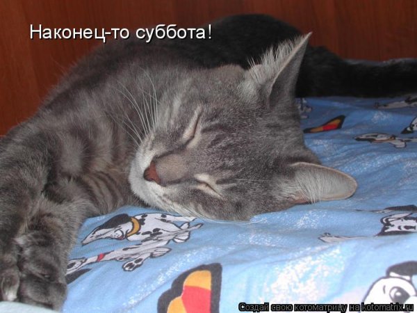Наконец то суббота