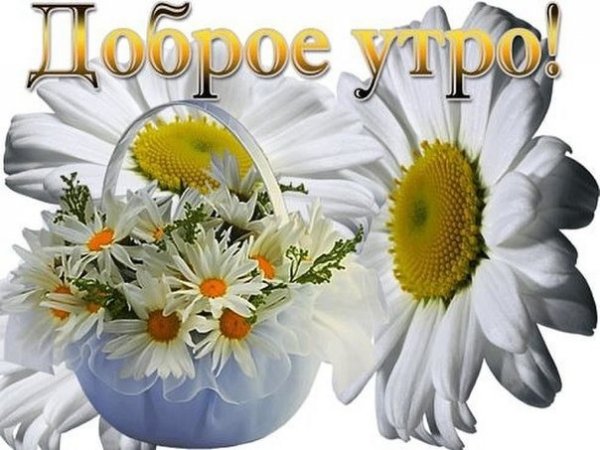 Доброе утро чудесного дня