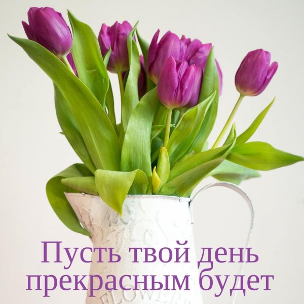 Тюльпаны с пожеланиями