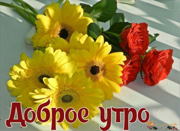Доброе утро цветы с надписью