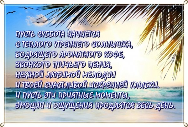 Прикольные пожелания доброго утра в субботу