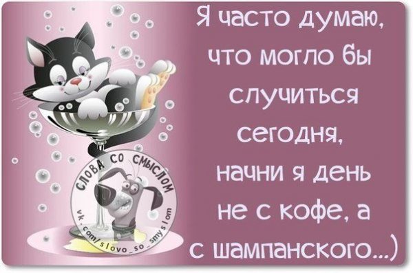 Афоризмы про субботу прикольные