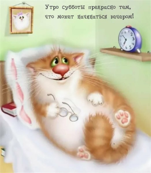 Суббота котики