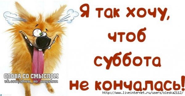 Вечер субботы цитаты