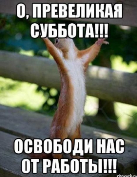 Статусы про субботу прикольные