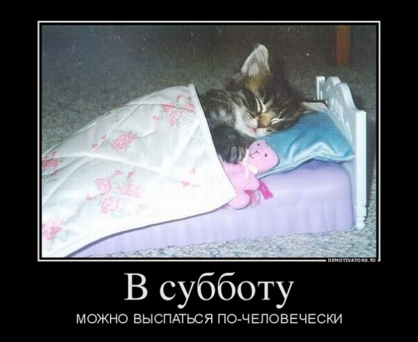 Выспаться в субботу