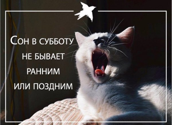 Спокойной субботней ночи