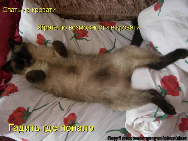 Спать в субботу