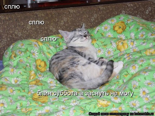 Спокойной ночи высыпайся
