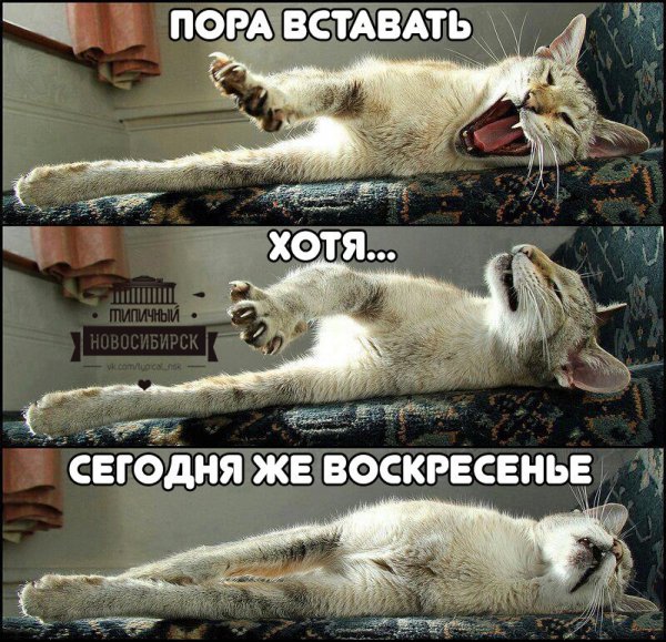 Пора вставать прикольные