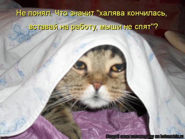 Утро понедельника на работе