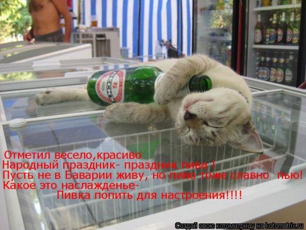 Прикол про выпивку в субботу