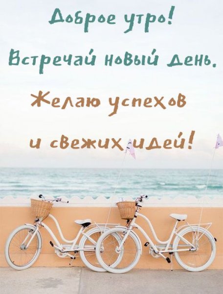 Смешные цитаты с добрым утром