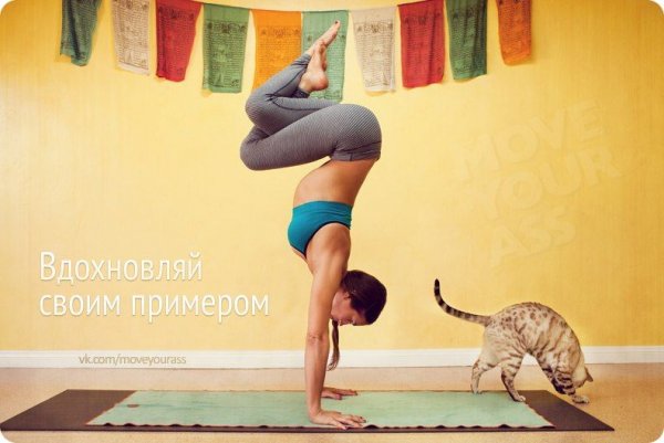 Йога мотивация