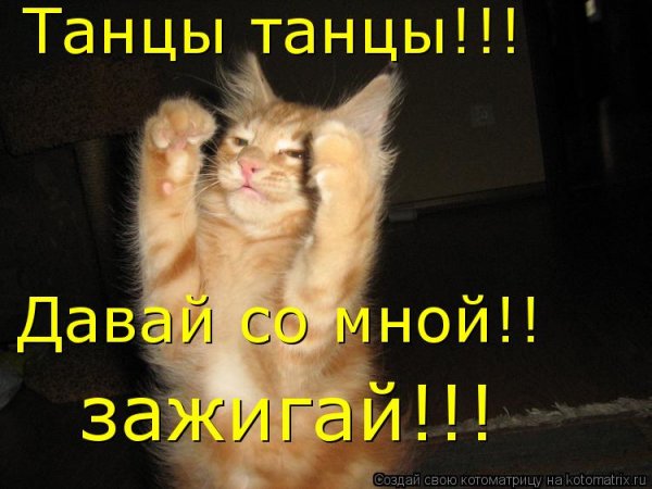 Вечеринка карикатура