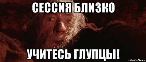 Пишите диплом глупцы