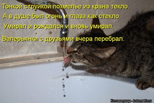 Помираю с похмелья