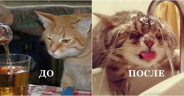 Отходняк после пьянки