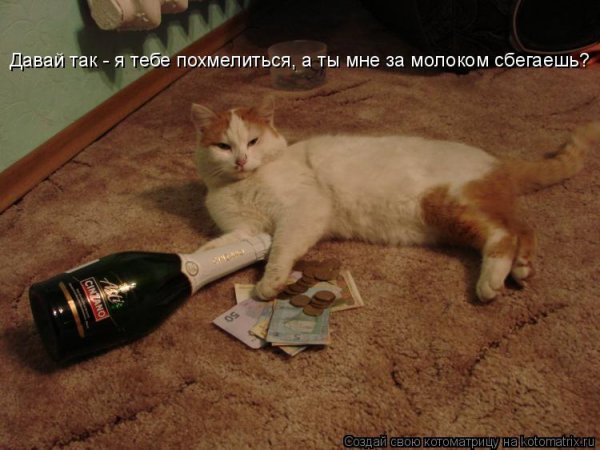 Суббота похмелье