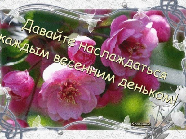 Доброго весеннего субботнего дня