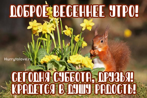 С добрым весенним утром субботы