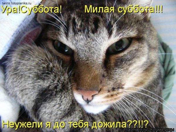 УРРАА суббота