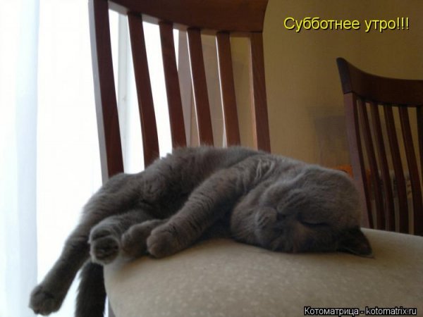 Рабочее утро субботы