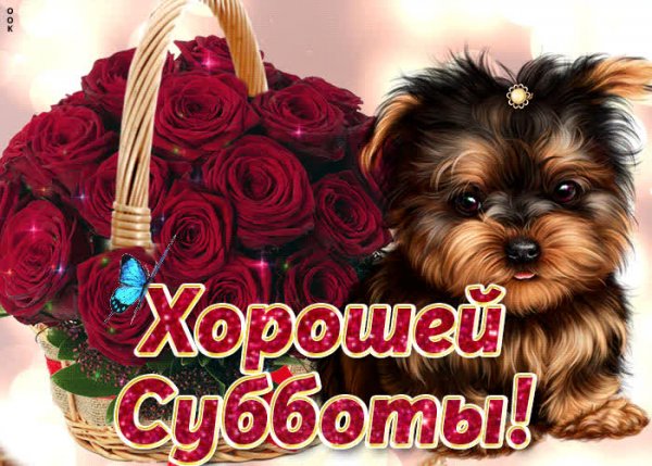 С весенней субботой