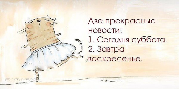 Афоризмы про субботу