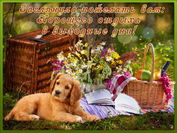 Прекрасного отдыха и отличного настроения