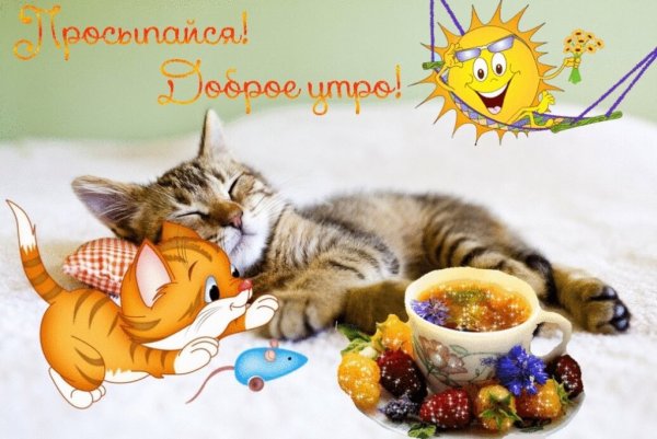 Приятного отдыха в выходные