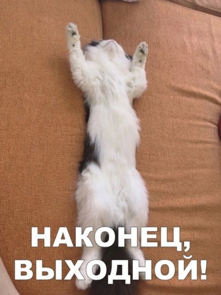 Наконец то выходные