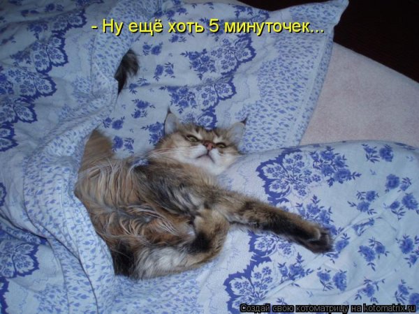 Суббота расслабляемся