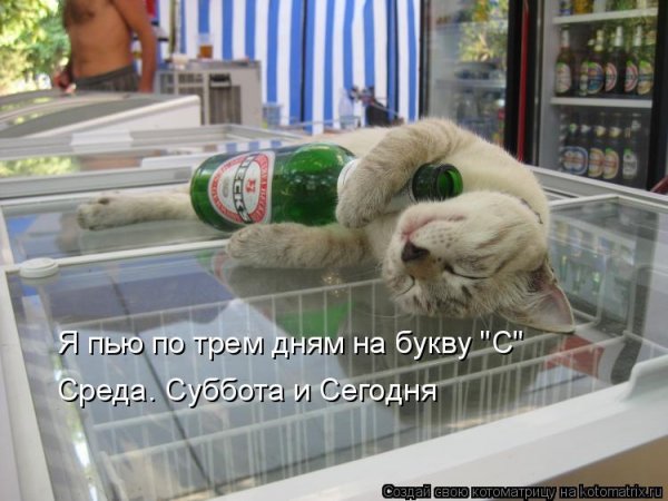 Прикол про выпивку в субботу