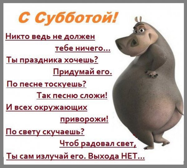 Статусы про субботу прикольные