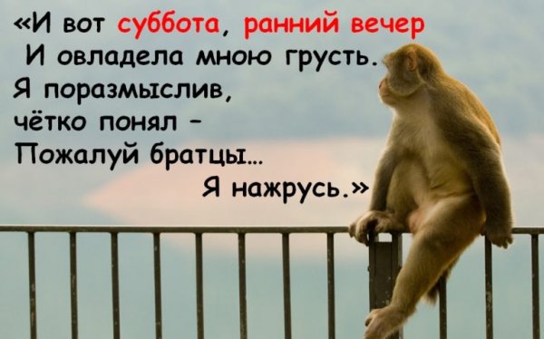Высказывания про субботу