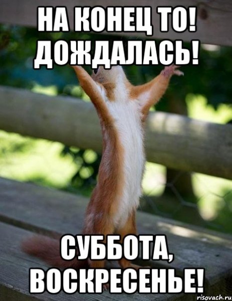 Наконец то суббота
